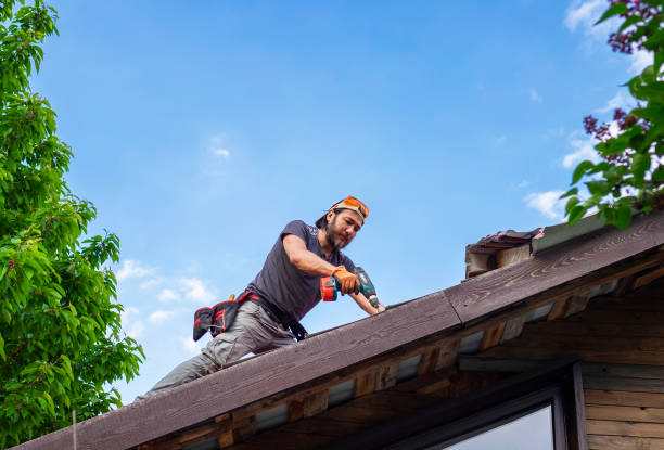 Professional Roofing and repair in Longbranch, WA